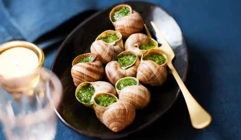12 escargots moyens