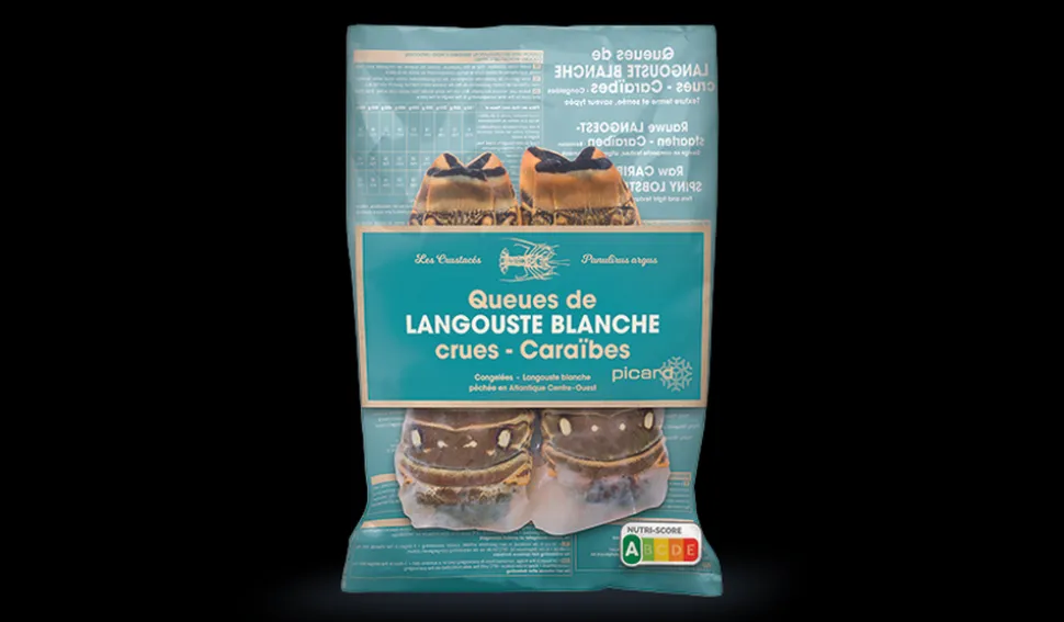 2 queues de langouste blanche, Caraïbes, crues