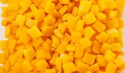 Courge butternut bio Local Equitable, Sud-Ouest