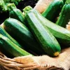 Courgettes bio local