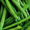 Haricots verts extra-fins, France