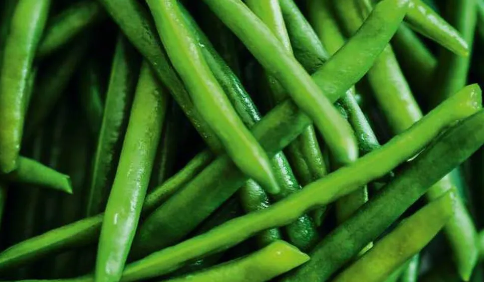 Haricots verts extra-fins, France