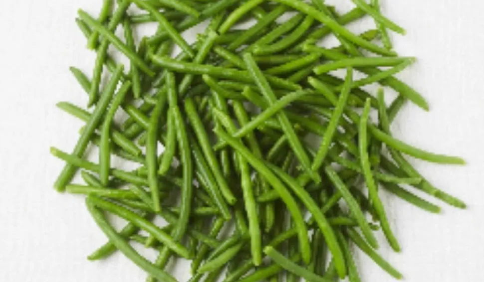 Haricots verts extra-fins bio