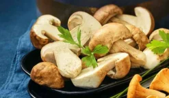 Jeunes cèpes coupés