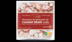 Morceaux de calmar géants cuits