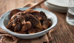 Morilles