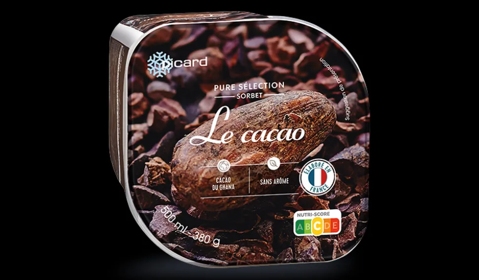 Sorbet Le cacao