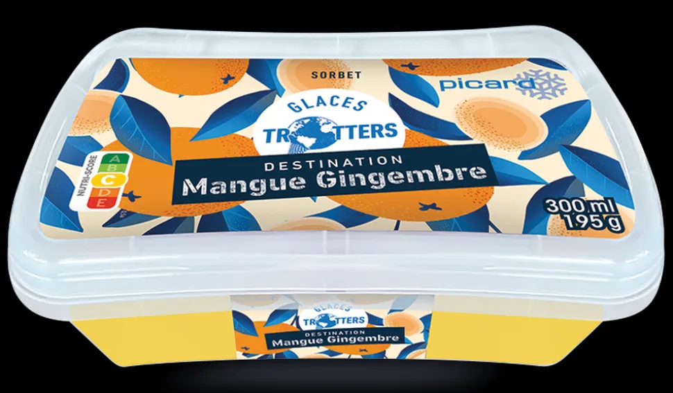 Sorbet Mangue Gingembre