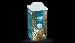 Thym coupé